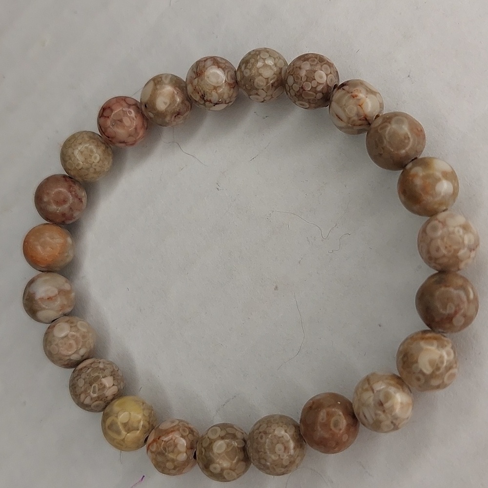 Flowery Cowry Fossil stone 8mm round bead bracelet